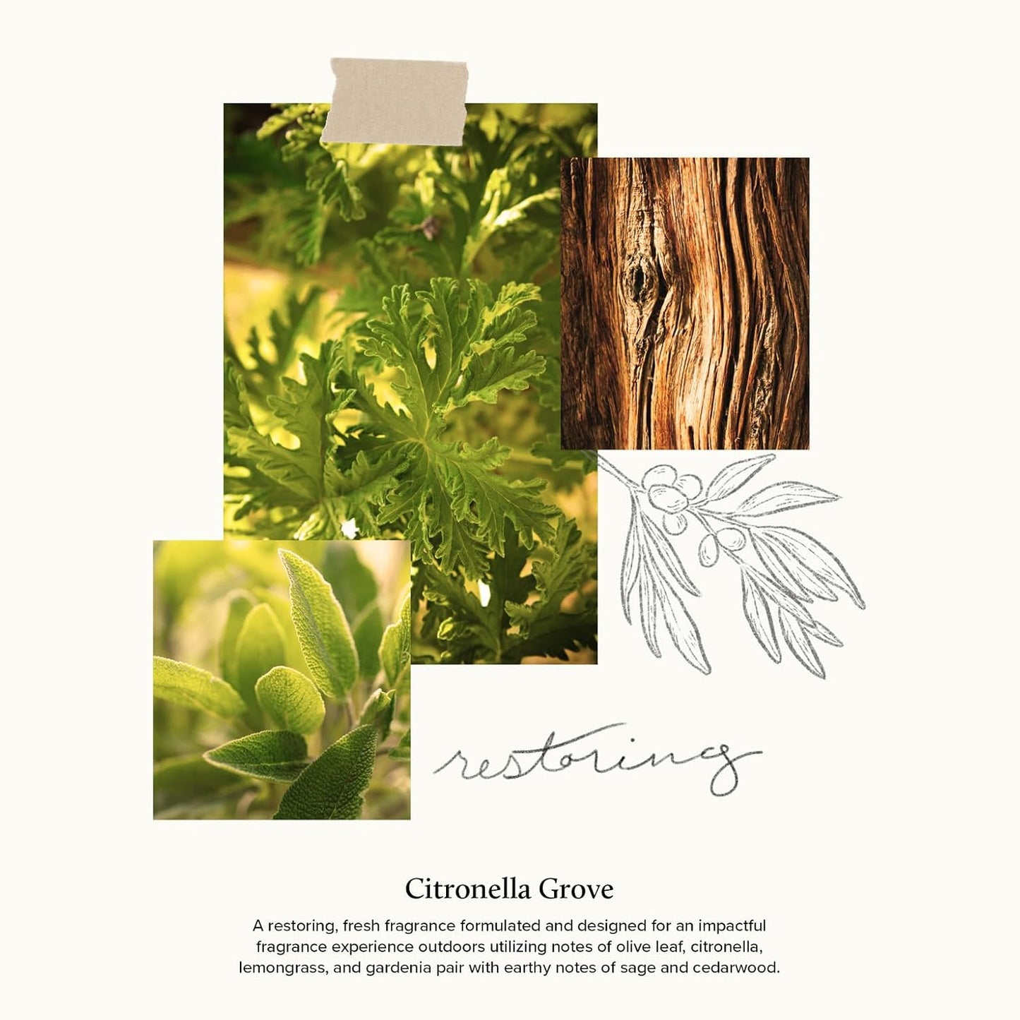 Thymes Outdoor Oasis Large Candle 26Oz - Citronella Grove