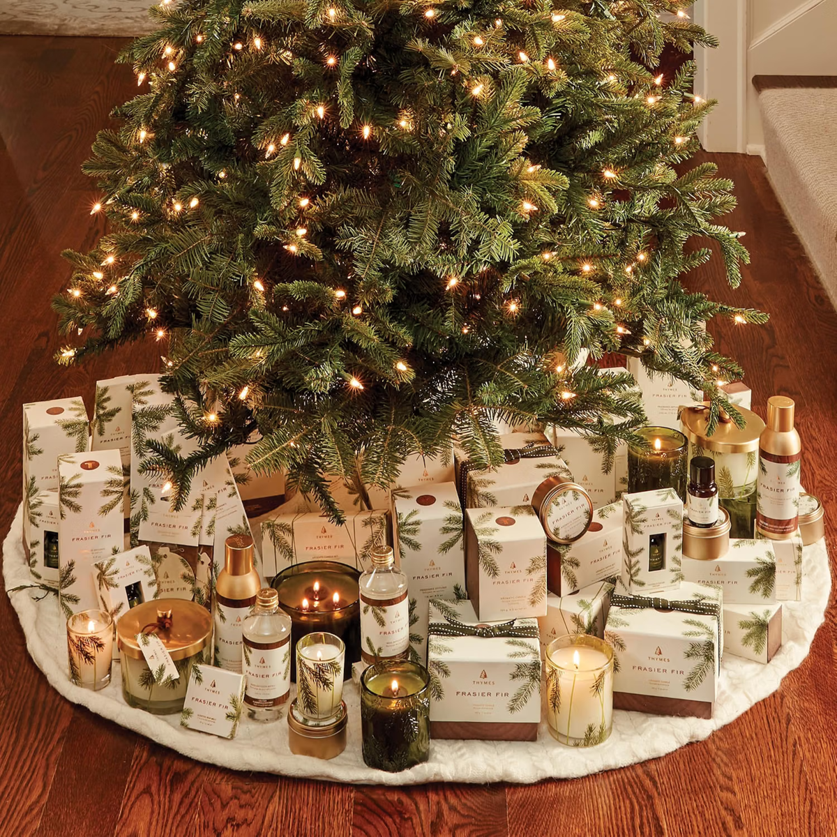 Thymes Frasier Fir Pine Needle Candle | Crisp Siberian Fir, Cedarwood & Sandalwood