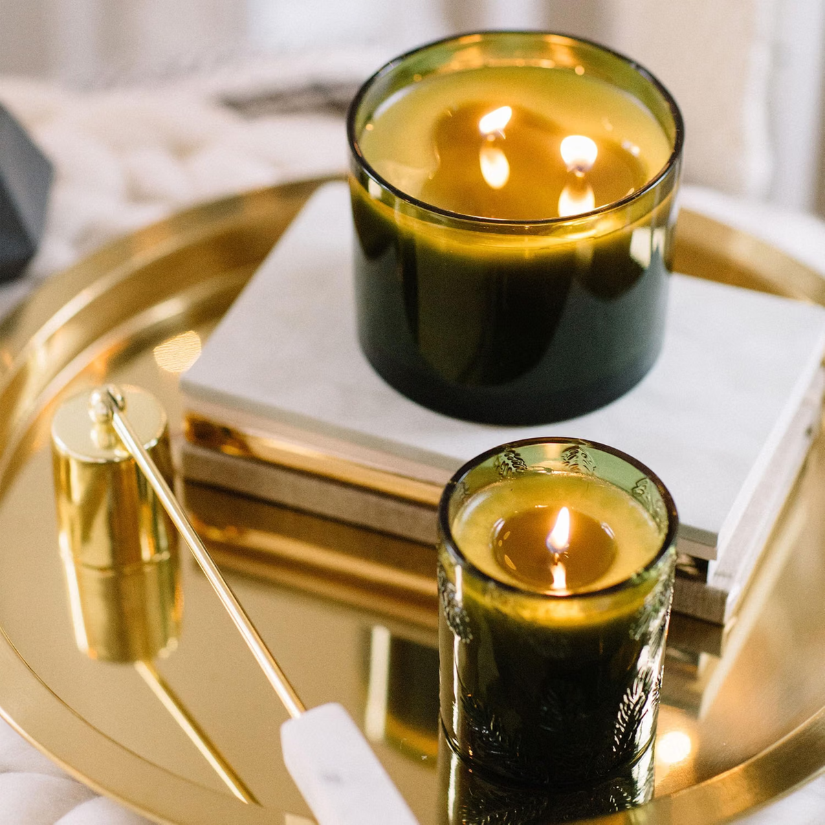 Thymes Frasier Fir Green Jar Candle | Crisp Siberian Fir, Cedarwood & Sandalwood