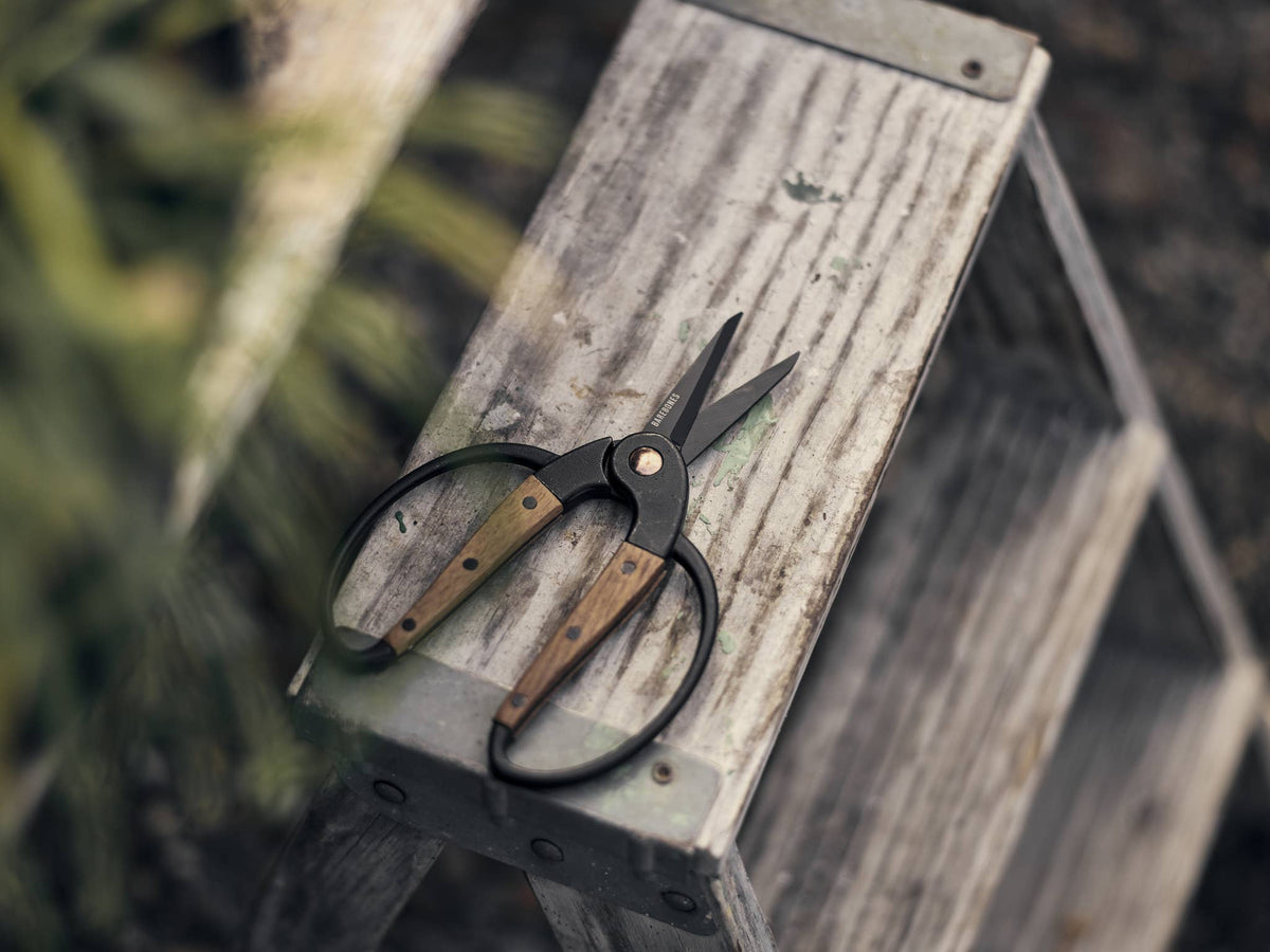 Barebones Garden Scissors | Walnut Wood