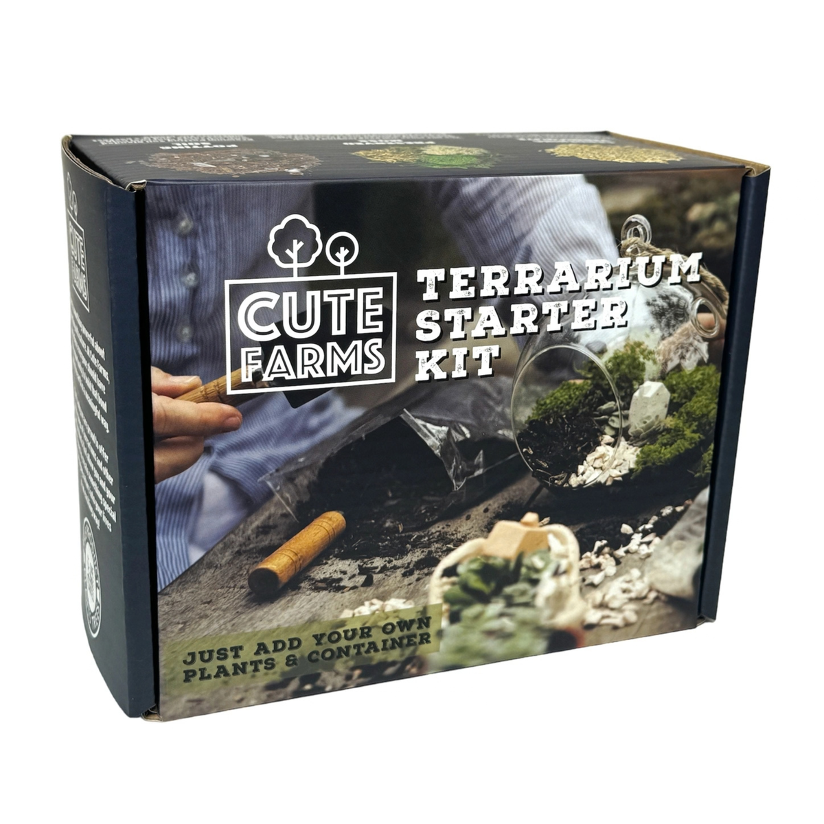 Cute Farms DIY Terrarium Succulent Kit