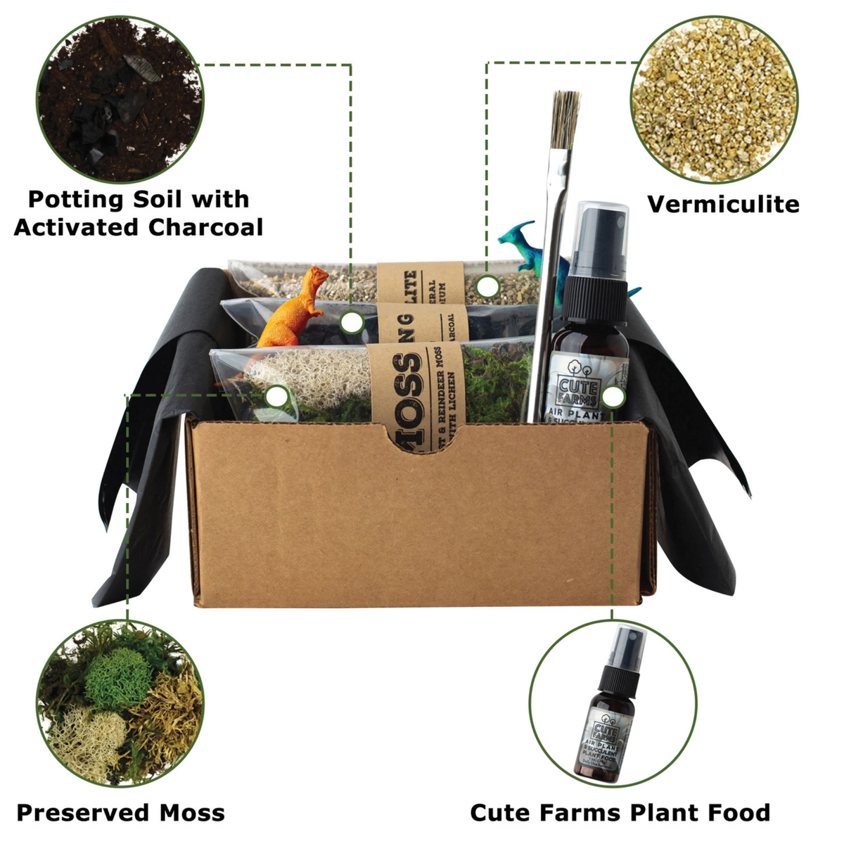 Cute Farms DIY Terrarium Succulent Kit