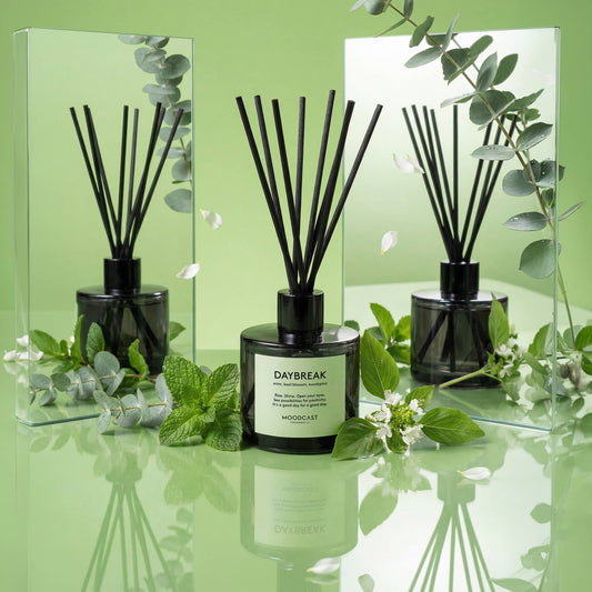 Reed Diffuser - Night & Day - Daybreak - 3.4 oz Glass Jar