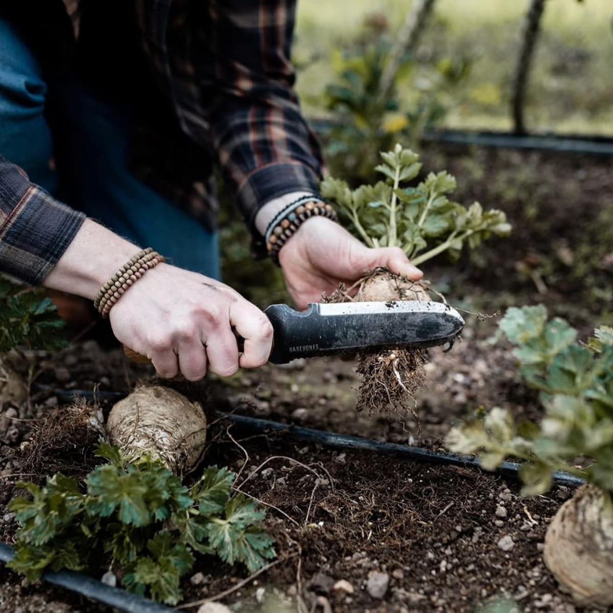 Barebones Hori Hori Classic | Premium Gardening Tool