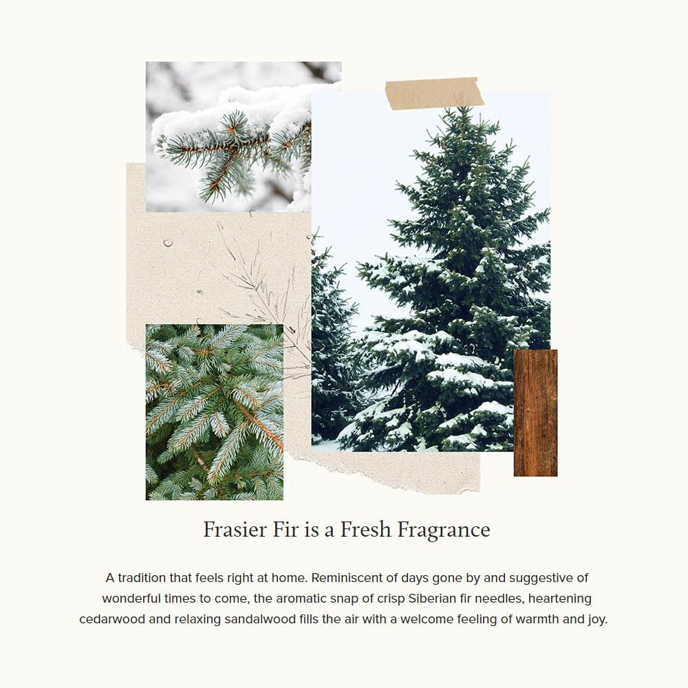 Thymes Statement Petite Diffuser 4 fl oz - Frasier Fir