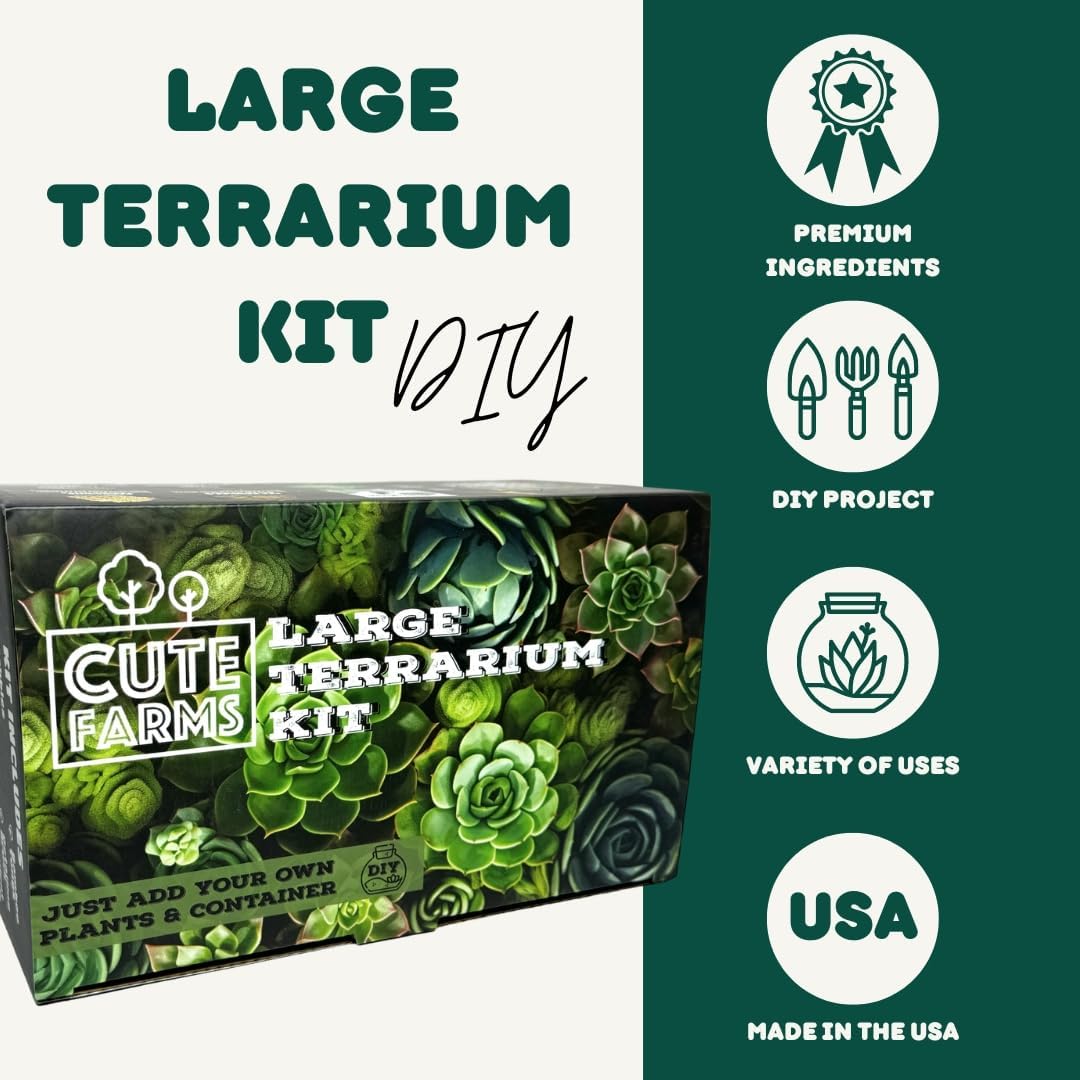 CUTE FARMS DIY Terrarium Succulent Kit - Large