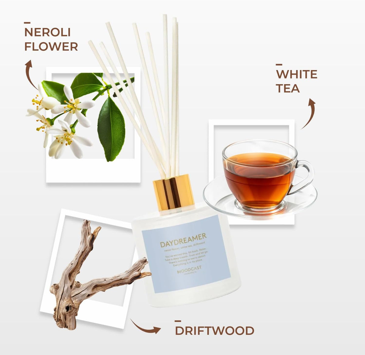 Moodcast Reed Diffuser | Persona | Daydreamer | 3.4 oz Glass Jar