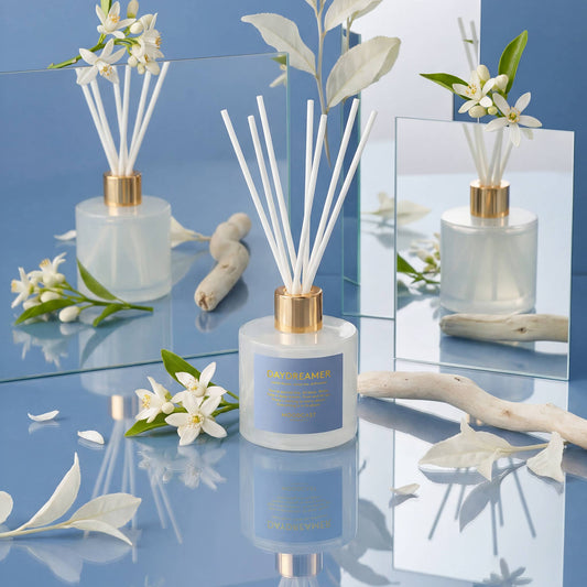 Reed Diffuser - Persona - Daydreamer - 3.4 oz Glass Jar