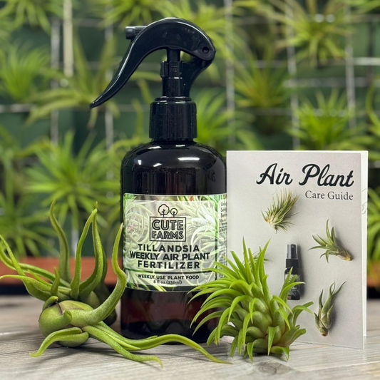 Cute Farms Tillandsia Air Plant Fertilizer | 8 fl oz