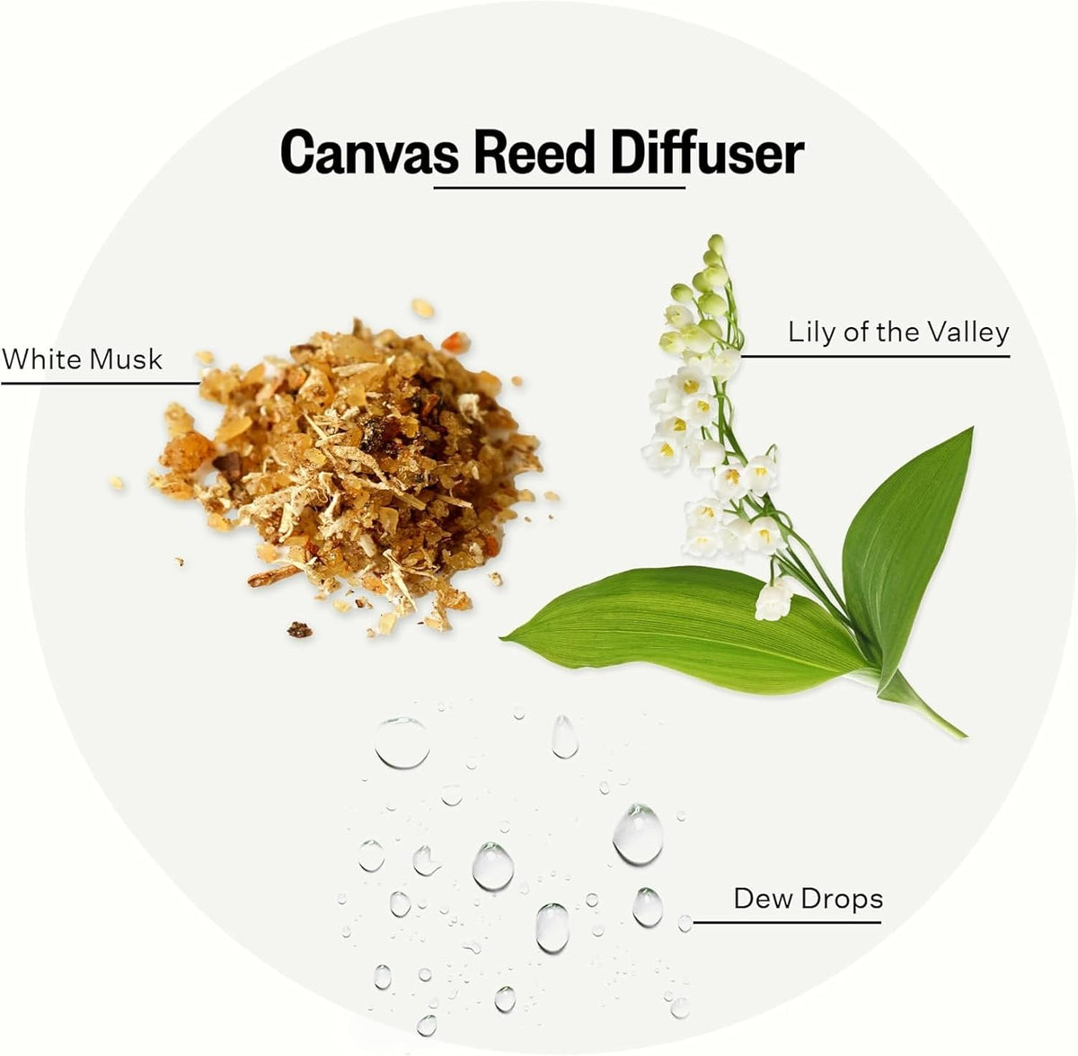 Apotheke Luxury Scented Reed Diffuser for Home | 6.7 Fl Oz