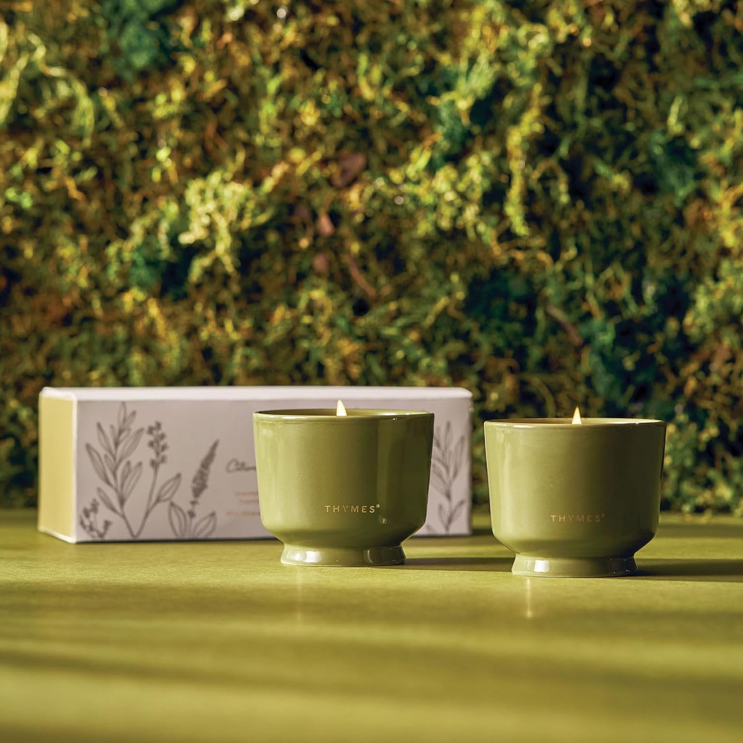 Thymes Outdoor Oasis Aromatic Candle Set - Citronella Grove