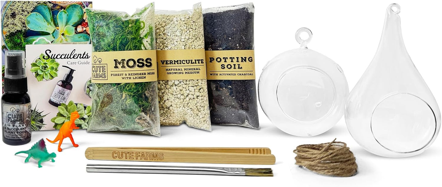 CUTE FARMS DIY Terrarium Succulent Kit - Hanging Glass Bubble