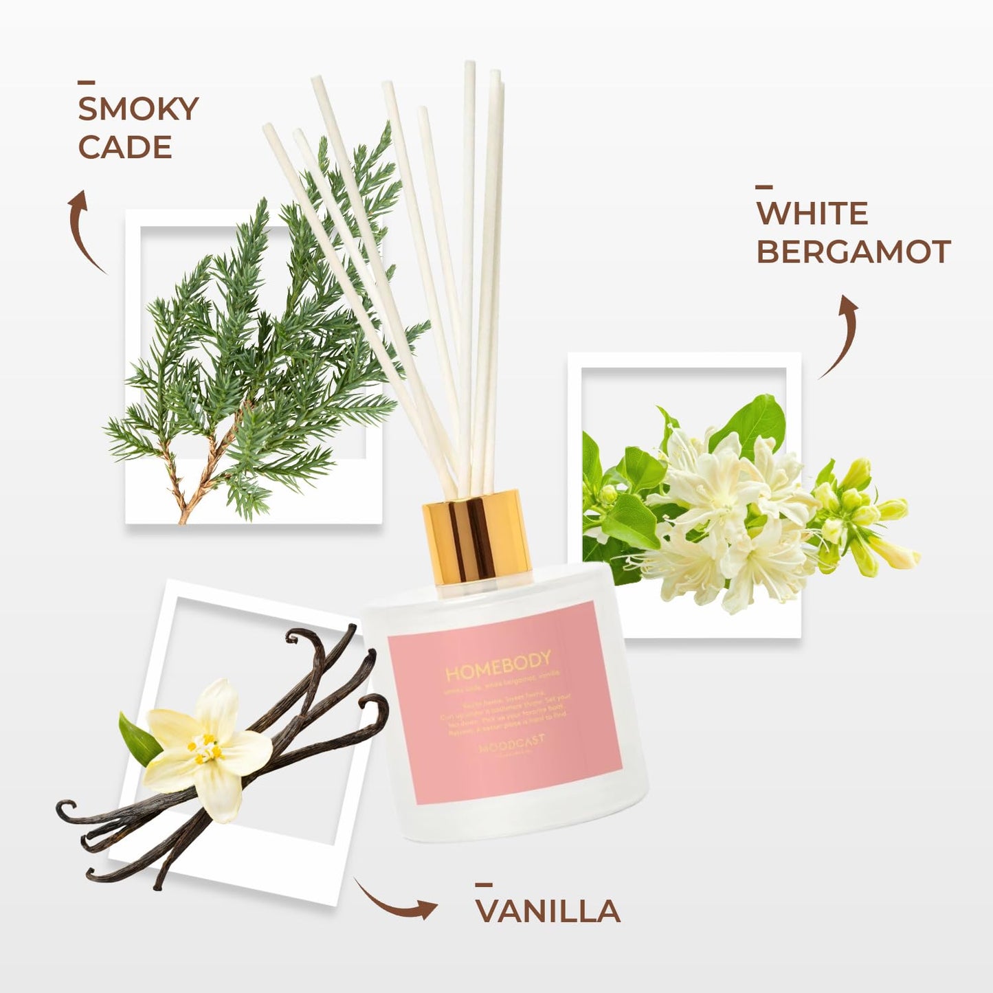 Moodcast Reed Diffuser | Persona | Homebody | 3.4 oz Glass Jar