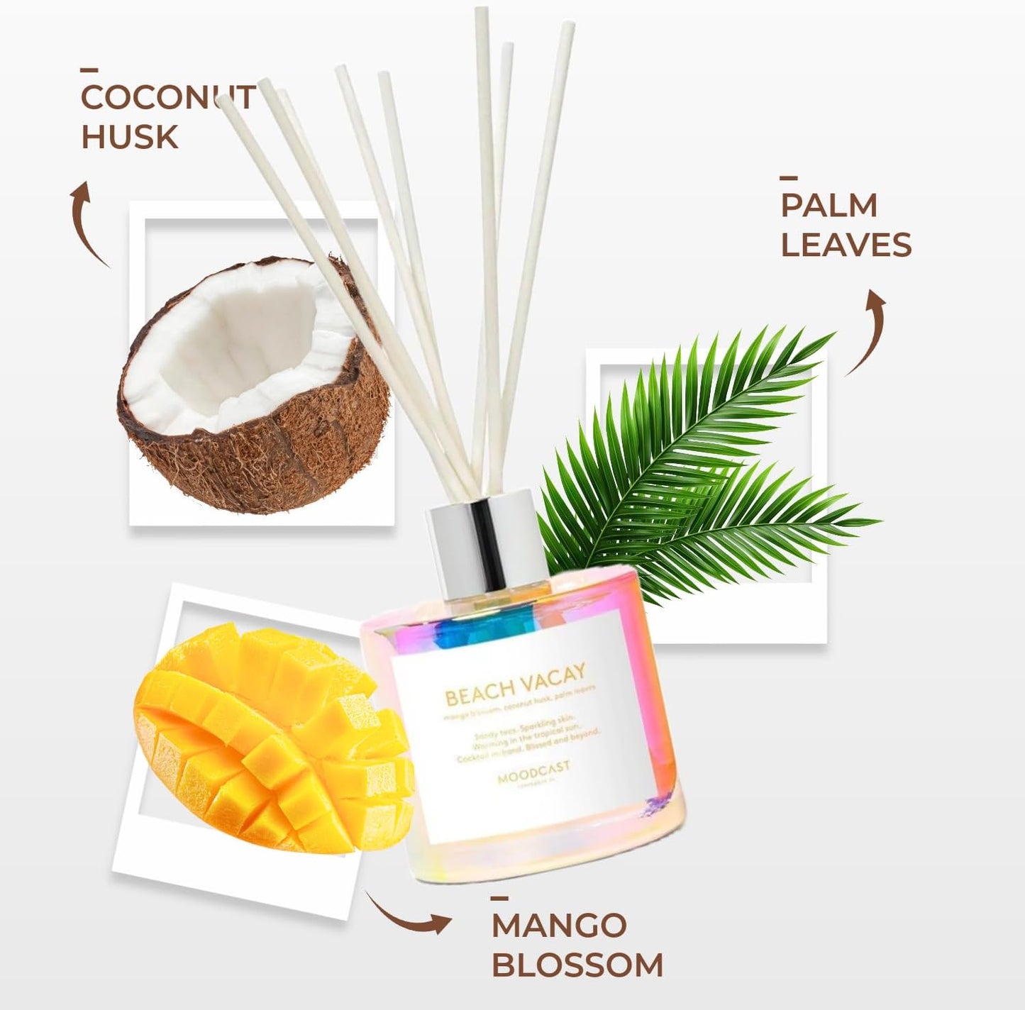 Moodcast Reed Diffuser | Vibes | Beach Vacay | 3.4 oz Glass Jar