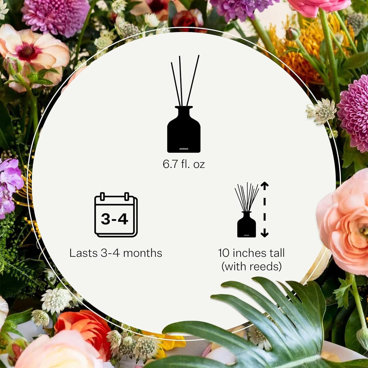 Apotheke Luxury Scented Reed Diffuser for Home | 6.7 Fl Oz