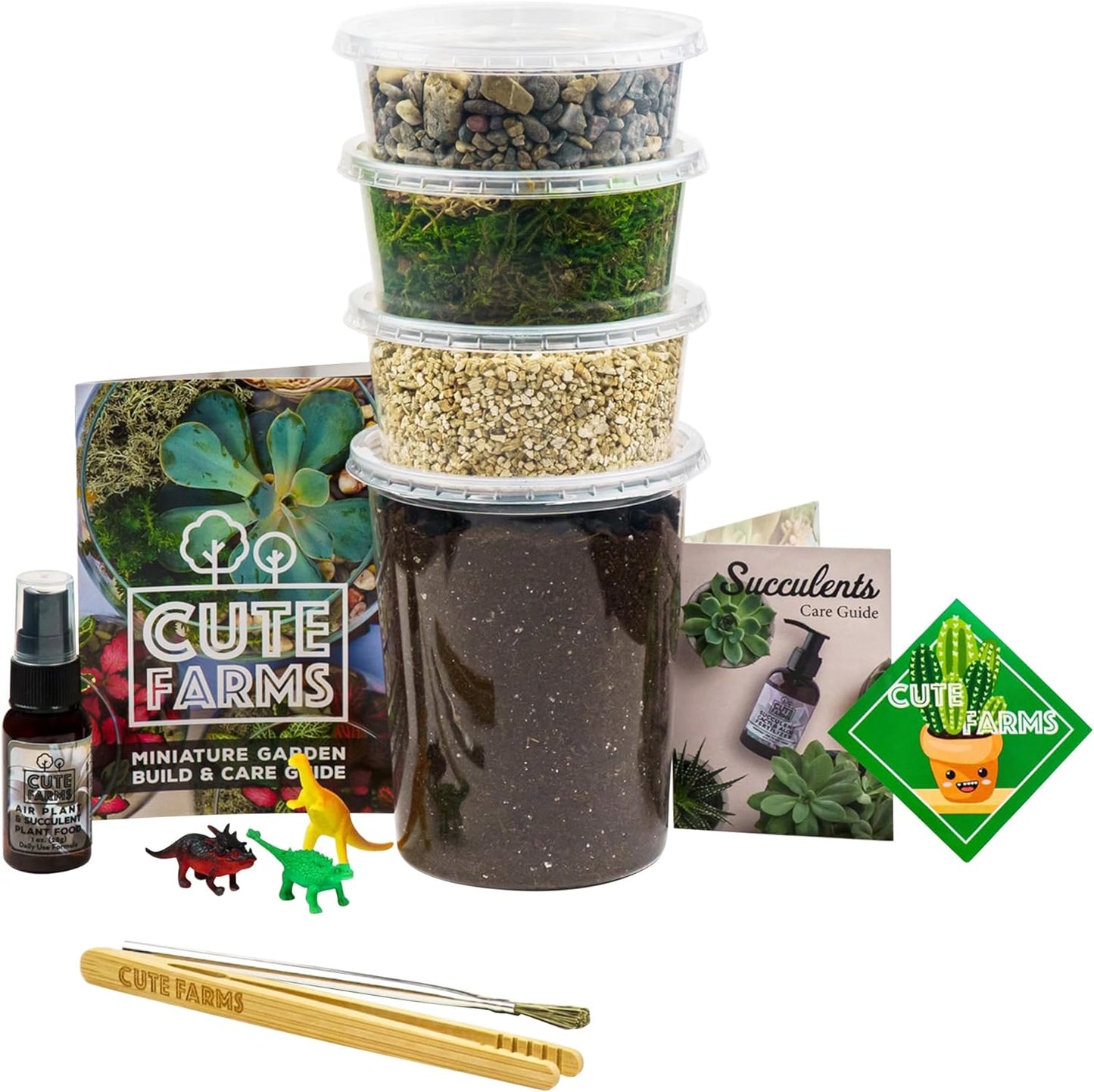 CUTE FARMS DIY Terrarium Succulent Kit - Large