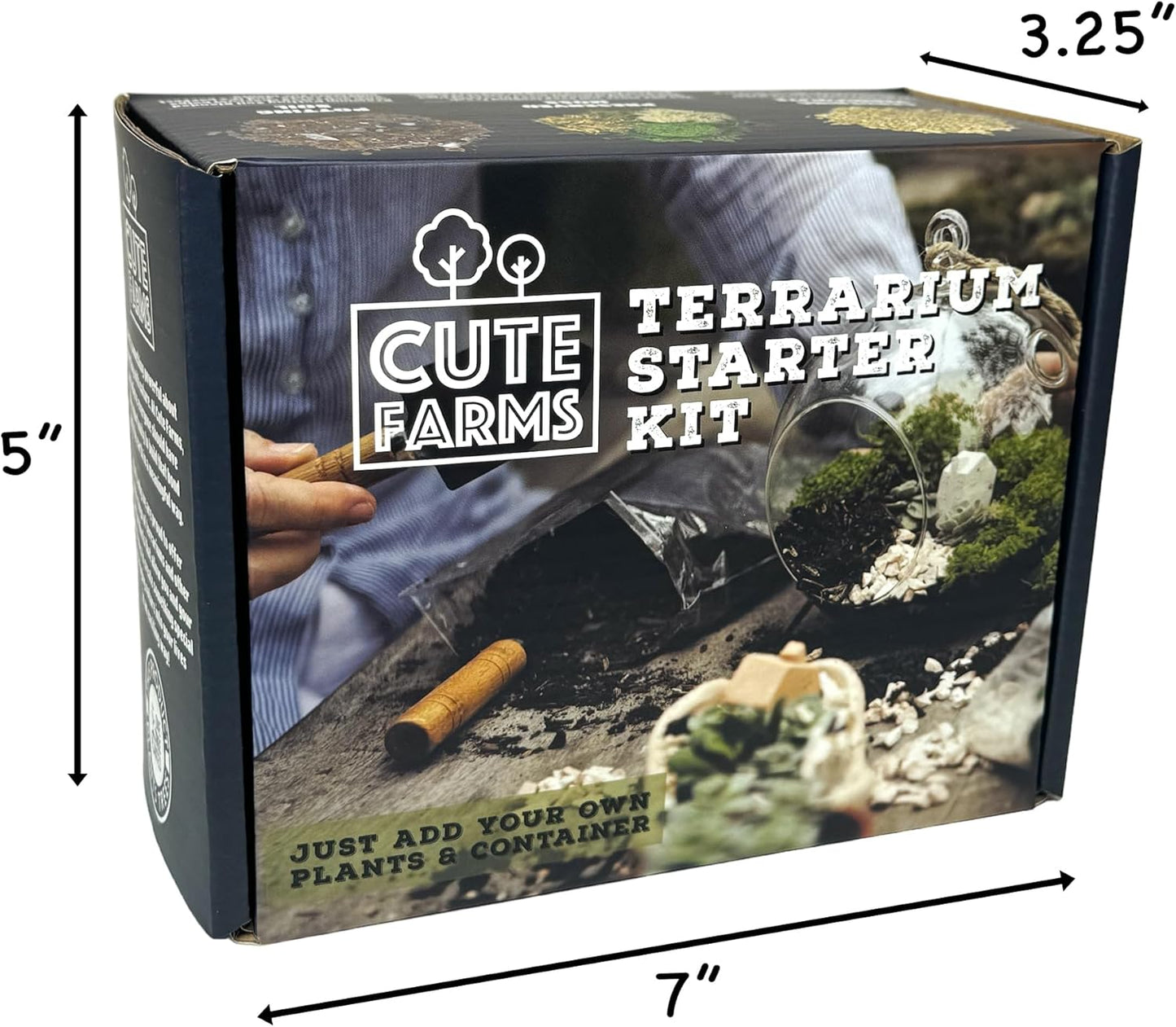 CUTE FARMS DIY Terrarium Succulent Kit - Starter