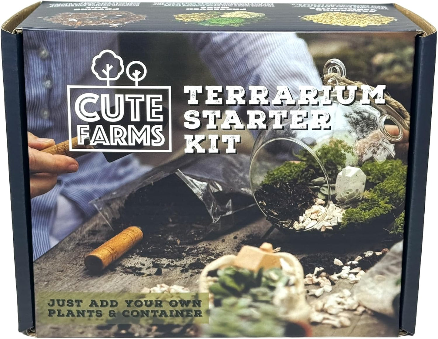 CUTE FARMS DIY Terrarium Succulent Kit - Starter