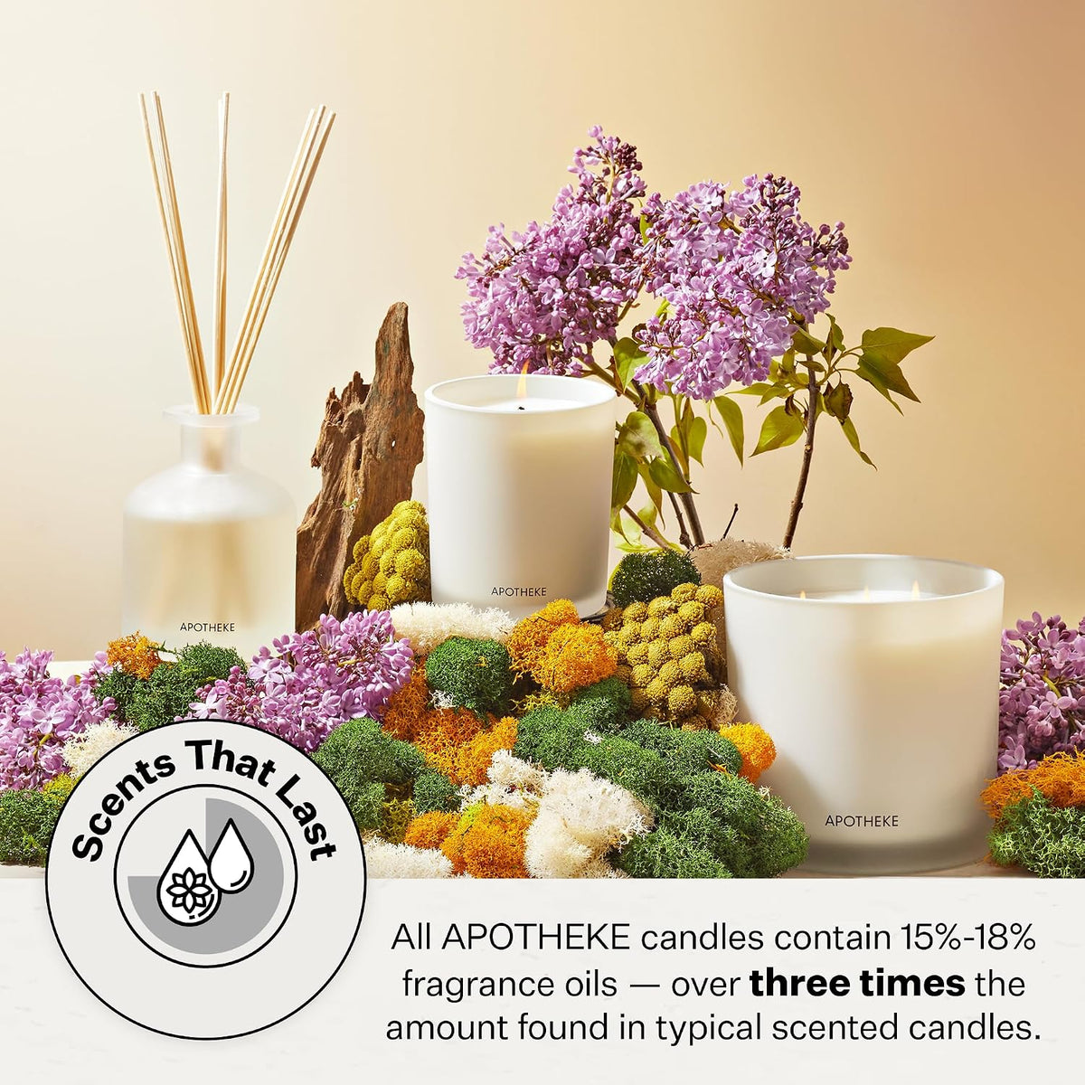 Apotheke Signature Scented Candles for Home | 10.5 oz