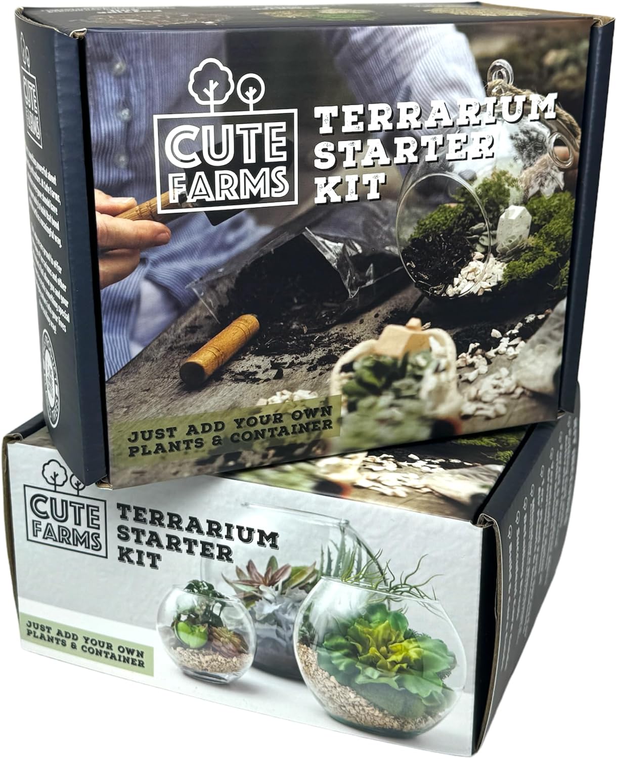 CUTE FARMS DIY Terrarium Succulent Kit - Starter