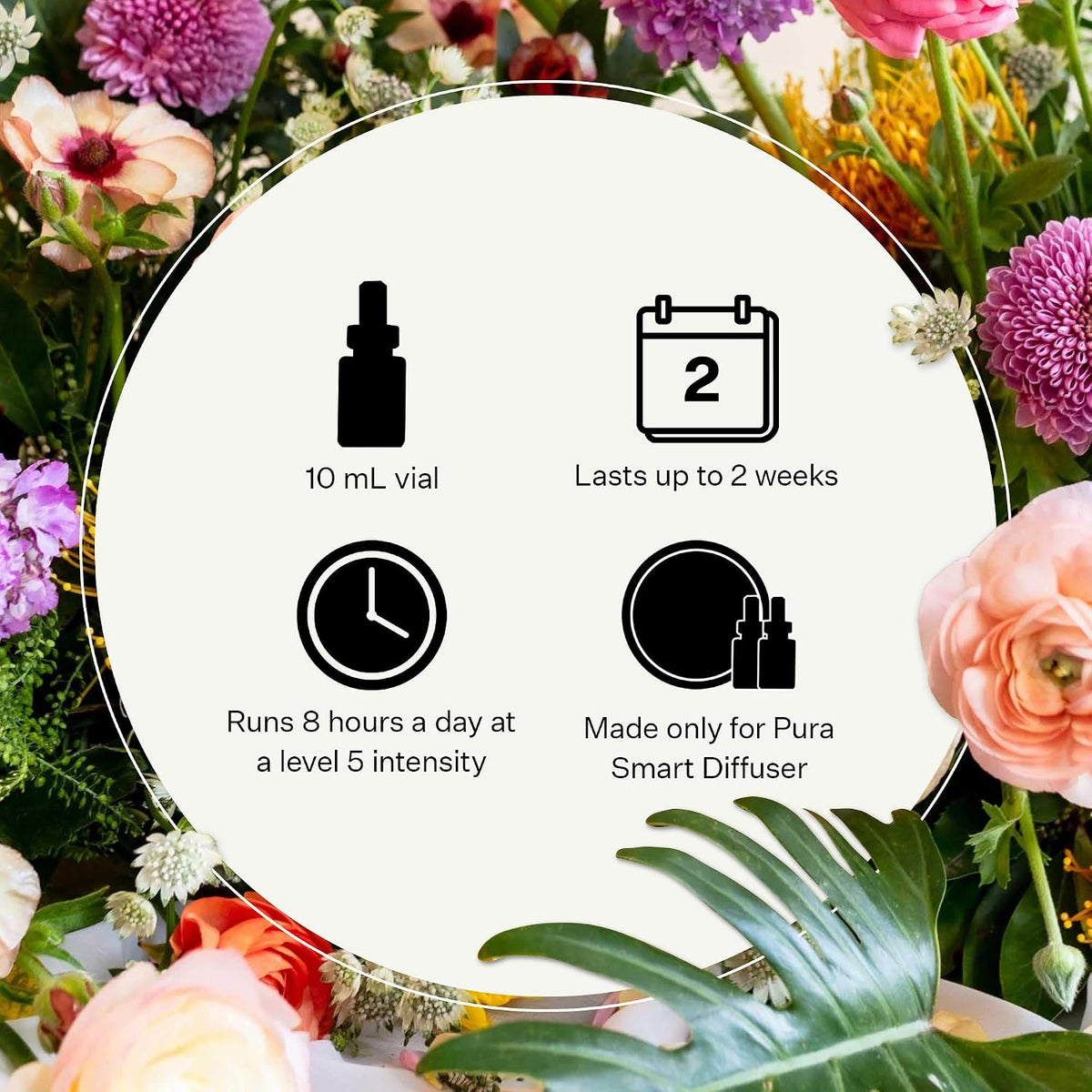 PURA Smart Diffuser Refills | Apotheke Series | Pack of 2