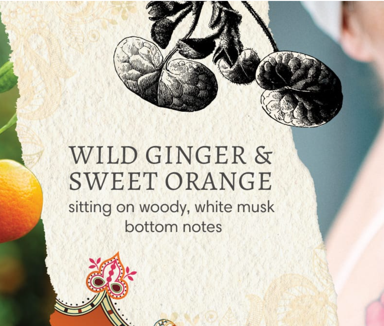 Ginger & Orange | Shea & Mango Butter Hand Repair Balm