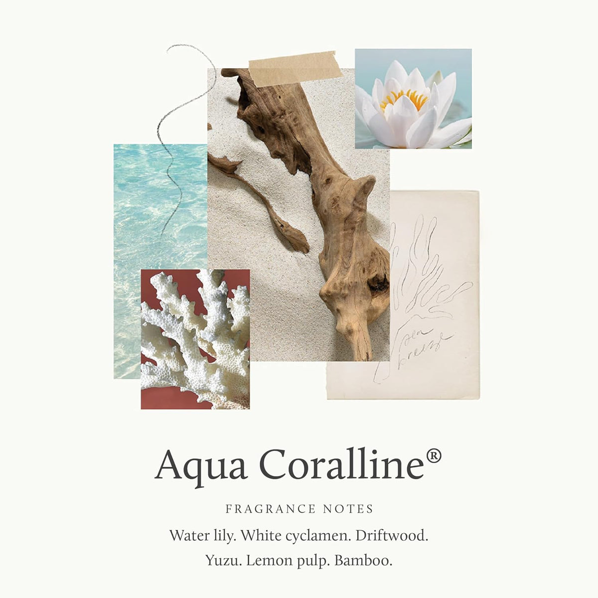 Thymes x PURA Smart Home Plug-in Diffuser Refills | Pack of 2