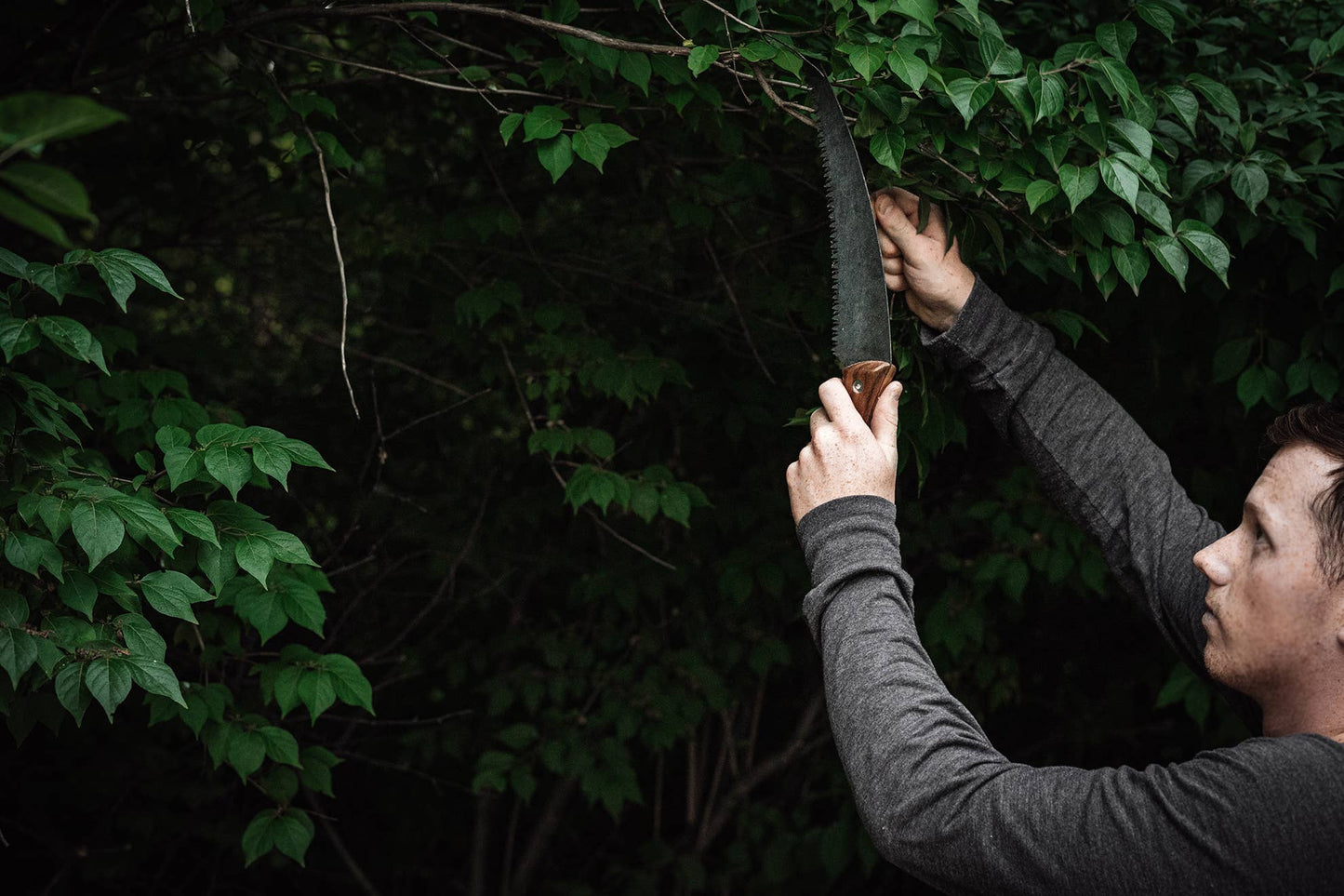 Timber Saw - Hand Saw
