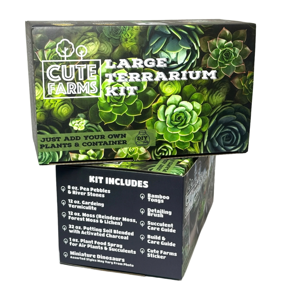 Cute Farms DIY Terrarium Succulent Kit