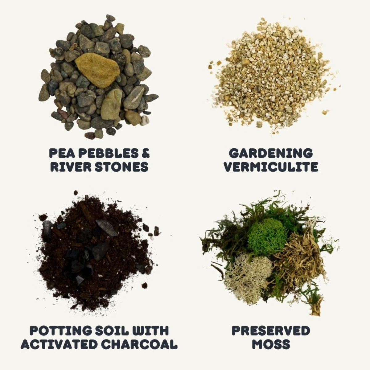 Cute Farms DIY Terrarium Succulent Kit