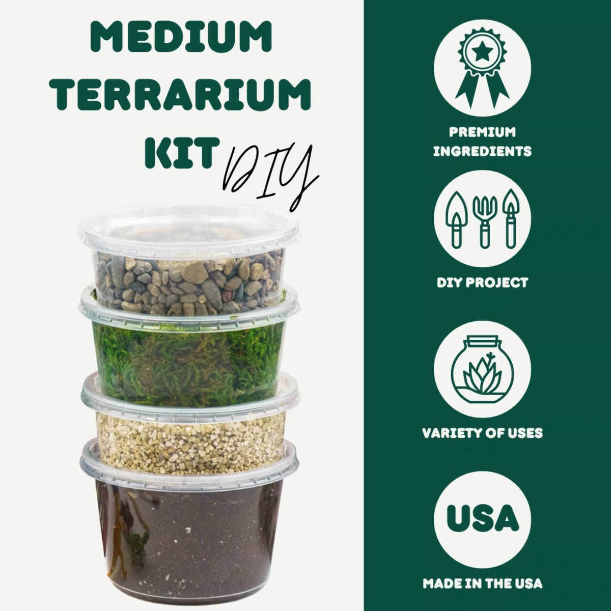 Cute Farms DIY Terrarium Succulent Kit