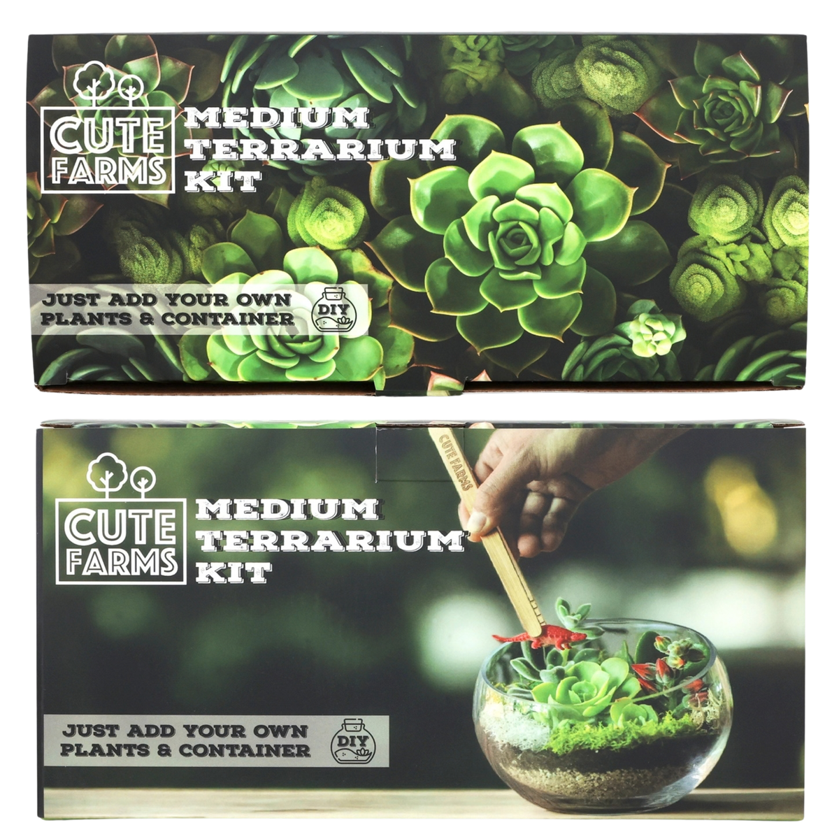 Cute Farms DIY Terrarium Succulent Kit