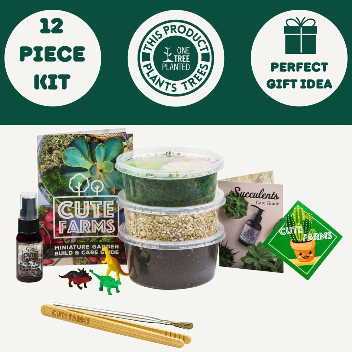 Cute Farms DIY Terrarium Succulent Kit