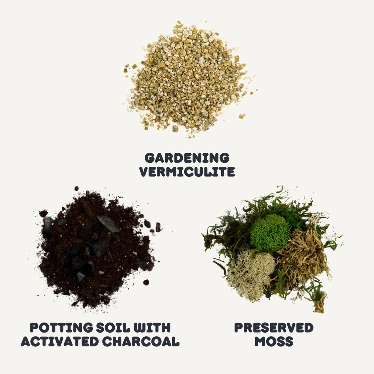 Cute Farms DIY Terrarium Succulent Kit